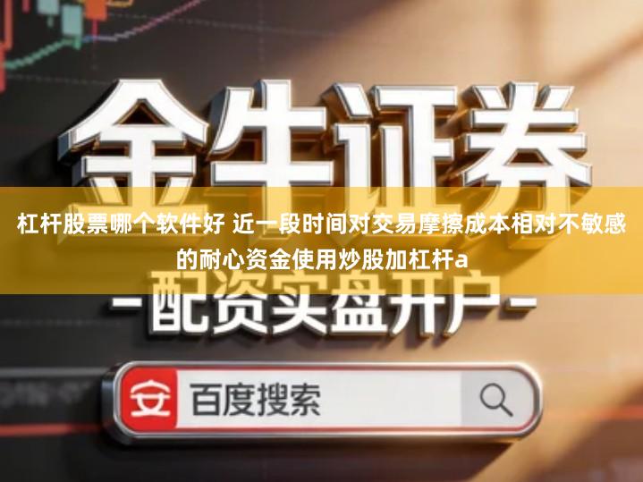 杠杆股票哪个软件好 近一段时间对交易摩擦成本相对不敏感的耐心资金使用炒股加杠杆a